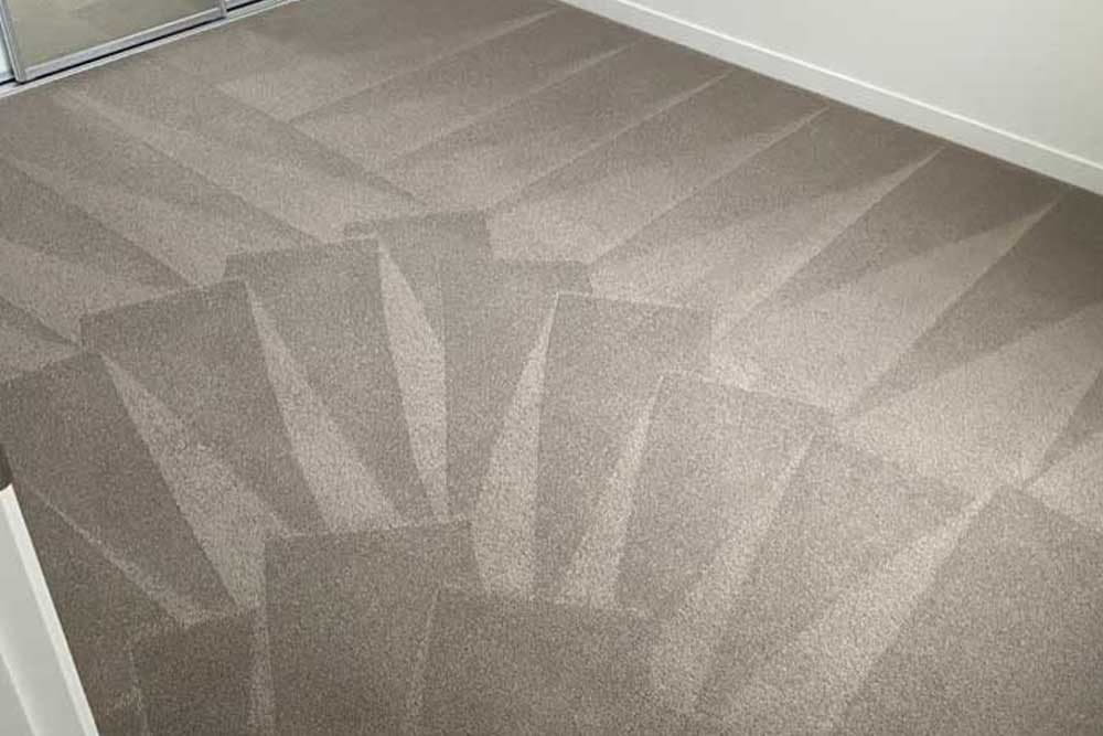 Freshly steam-cleaned carpet with clean wand lines in a Sunshine Coast home