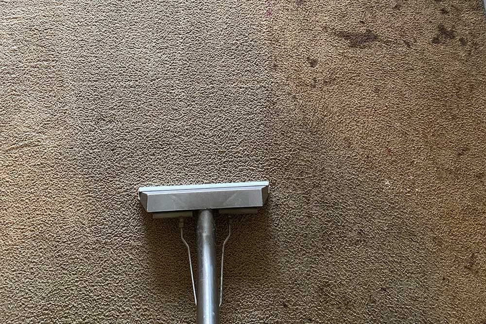 Carpet half cleaned by a truck-mounted wand, showing stains lifting from the soiled side